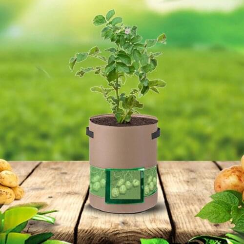 Visible Potato Planting Bag with Handles Large Capacity Vegetable Growing Pot for Home Garden