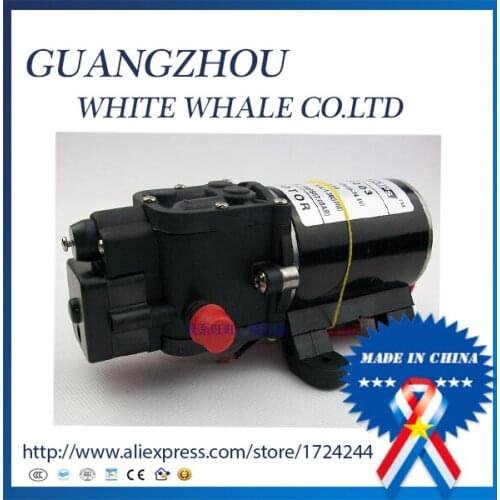 Modify 4.5a FL-3203 Diaphragm water pump for spraying fruit trees