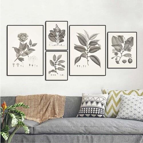 Home Decoration pictures Print Canvas Wall art poster paitings Retro sketching plant leaves series 2 gray color painting