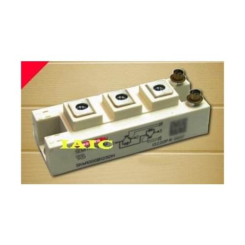 100%New and original, 90 days warranty SKM100GB125DN