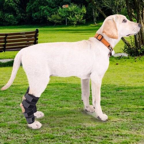 2Pcs/lot Pet Knee Pads Dog Support Brace for Leg Hock Joint Wrap Breathable Injury Recover Legs Dog Protector Support