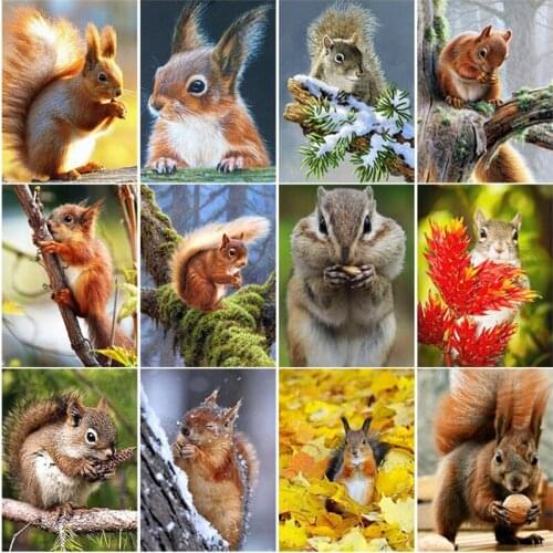 DIY Squirrel 5D Diamond Rhinestone Painting Kits For Children Full Round Drill Embroidery Cross Stitch Home Wall Decoration