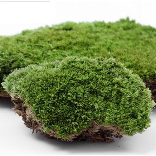 Plastic DIY Fake Moss Miniature Garden Ornament Craft Fairy Artificial Lawn Grass For Wedding Xmas Party Decoration