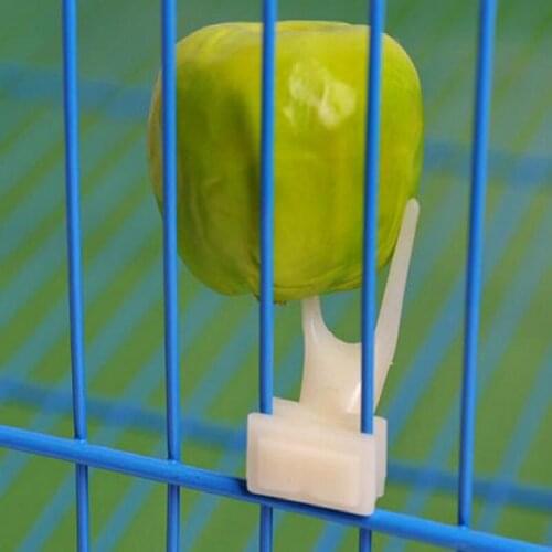 Hot Sale Pet Parrot Fruit Fork Birds Set On The Cage Convenient Feeder Supplies Device 50pcs/lot