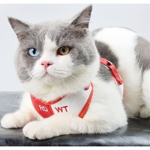 YOUDUDU Collars For Cats