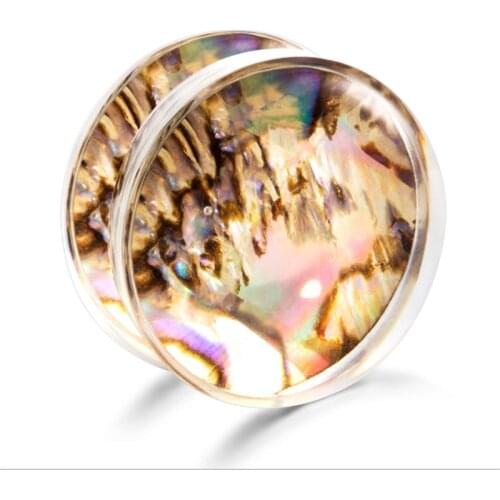 2PCS New Trendy Fashion Acrylic Punk Ear Plugs Tunnels Screw Fit Expansion Gauges Shell Paper Piercing Women Men Body Jewelry