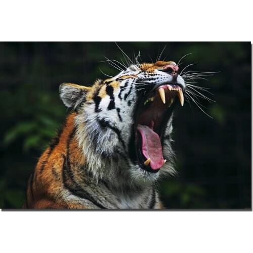 Roaring Tiger Poster Animal Canvas Painting Nordic Style Wall Art Picture for Home Decor
