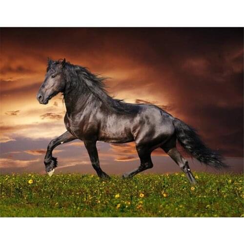 Animal Horse Printed Water-Soluble Canvas 11CT Cross-Stitch Embroidery Patterns DMC Threads Hobby Needlework Handmade Gift