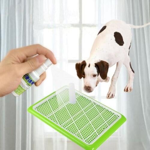 Pet Urinate Trainer Corrector Spray Guide Dog Cat To Pee At Fixed Spot 35ml Dog Supplies