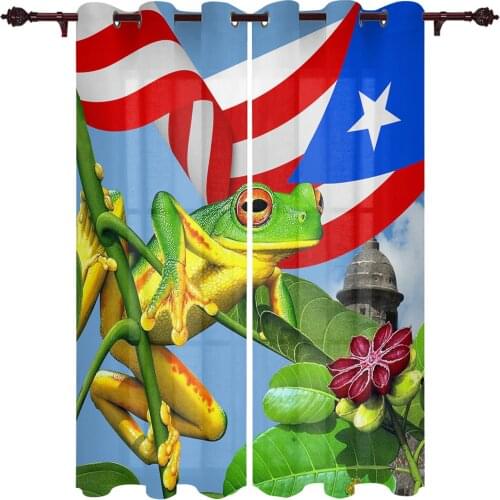 Puerto Rico Red Eyed Tree Frog Window Curtains Kids Room Living Room Curtain Panels Valance Curtains for Kitchen