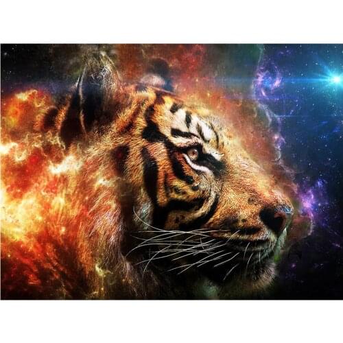 5D diamond painting full diamond new animal space tiger mosaic embroidery decoration home decoration