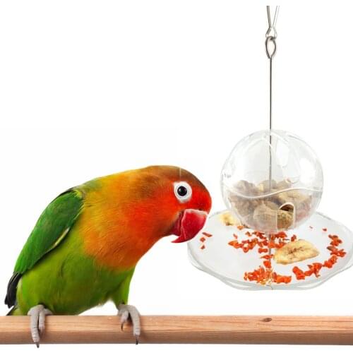 Parrot Hanging Feeder Parrots Foraging Toy Transparent Hanging Bird Feeder for Parrots Budgie Parakeet Cockatiel