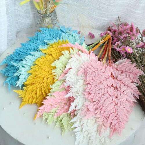 10pcs/lot,Natural Fresh Preserved Fiddlehead Ferns,Eternal Soft Pole Flower Leaves for Wedding Party Home Decoration Accessories