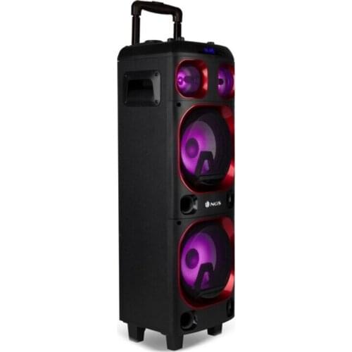 Speaker NGS Wild SKA 1 300W