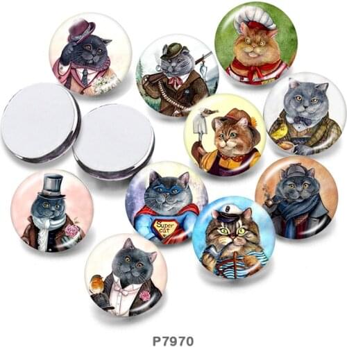 Cat 12mm/18mm/20mm/25mm/30mm Round Glass Cabochon Flat Back Making Findings P7970