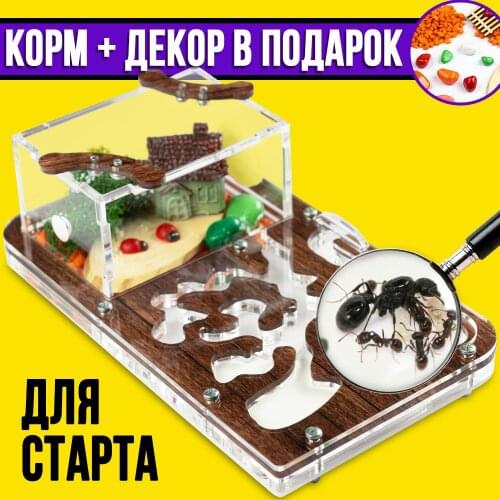 Товары для пчеловодства Мистер Ант China At AliExpress