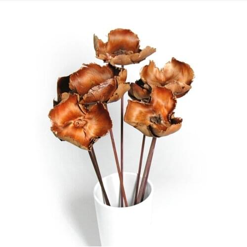 Natural Dried Preserved Flowers Dried Palm Caps White Orange Green Blue Home Decor/Weddings Preserved Natural Plant Dry Plant