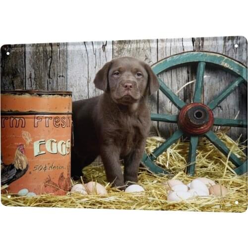 SINCE 2004 Tin Sign Metal Plate Decorative Sign Home Decor Plaques Breed Puppy Labrador Chicken coop