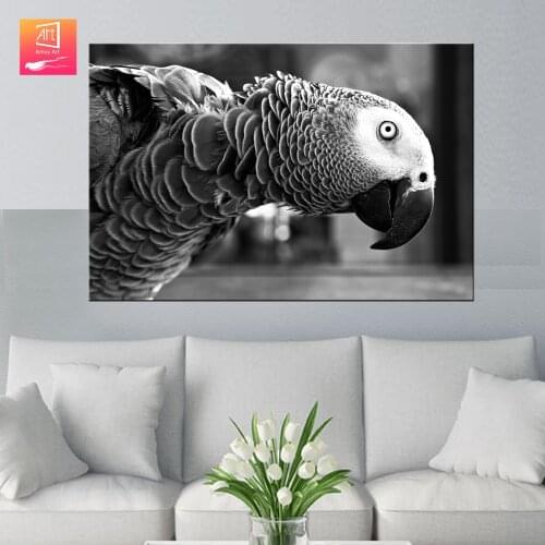 The Black White Parrot Head Wall Art Painting Canvas Print Picture for Living Room decor print poster Canvas painting bedroom