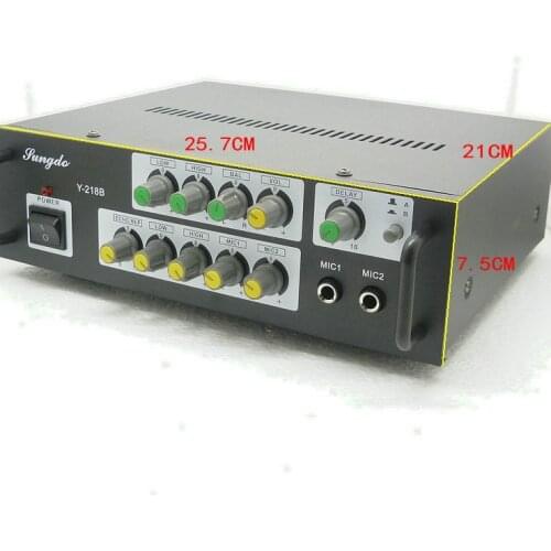 AC220V Y-218B 300W+300W 2-channel home Karaoke digital audio amplifier with microphone input