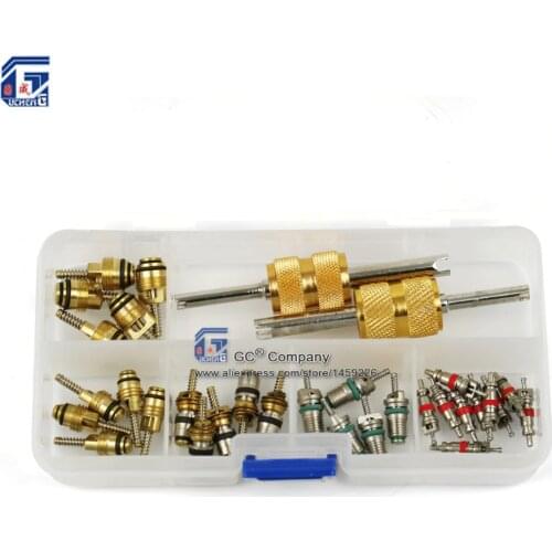Valve Core with 2 Way Remover Tool Kits Set for Regal, Beverly, Volkswagen, Toyota, Honda, Elantra, R134a R12