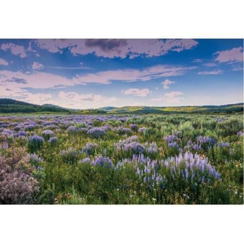 Landscape Backdrop Lavender Garden Scenery Party Photography Background Holiday Celebration Photo Booth Studio Decor