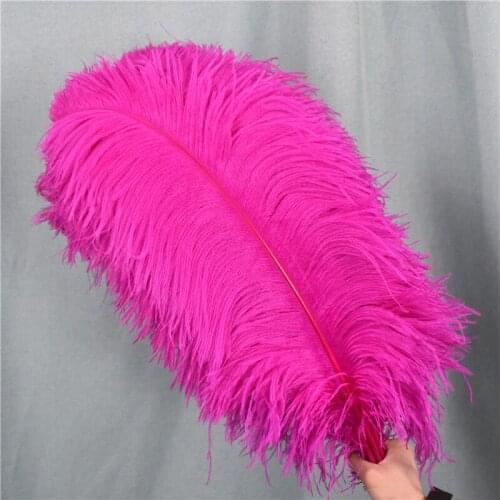 10Pcs Rose Red Ostrich Feathers Wedding Party Decoration Handicraft Accessories Large Feather Table Centerpieces Natural Plumas