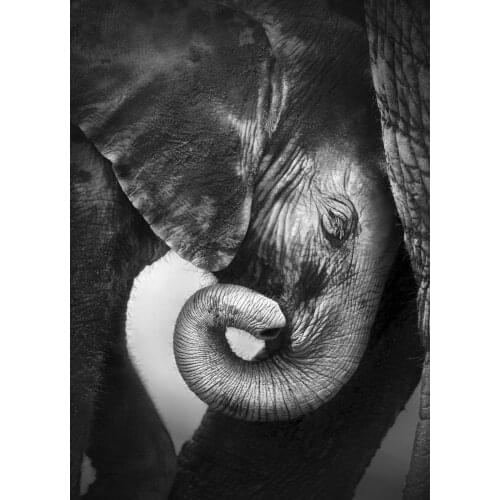 Elephant Mother & Baby Black & White Art print Silk poster Home Wall Decor