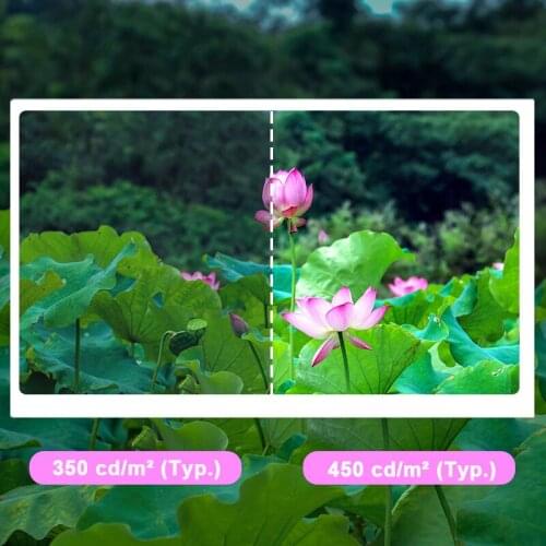 Original Innolux AT080TN64 LCD Screen Without Touchs For Automotive Display 8 Inch 800(RGB)×480 LCM Antiglare