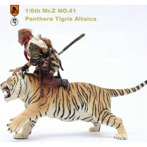About 52CM Mr.Z 1/6th Mr.Z041-PTA001 simulation Asian tiger panthera tigris altaica animal Resin model Toy decoration Gifts