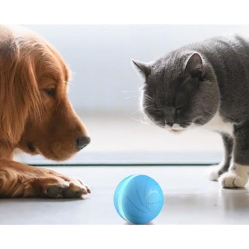 Wicked Ball - the Original by Cheerble Dog Toy - Suitable for Small and Medium Dogs without Chewing