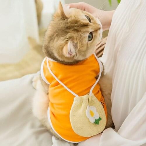New Style Pet Vest Spring And Summer Thin Section Breathable Small Dog Dog Two Feet Cool Cartoon Cat Clothes
