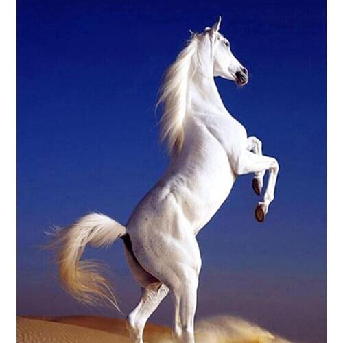 5D DIY Diamond Painting White Horse Full Square/Round Rhinestones Embroidery Set Mosaic Cross Stitch JX409