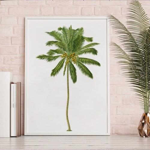 Palm Tree Modern Photography Poster Botanical Coconut Palm Print Vintage Plant Painting Picture Living Room Wall Decor