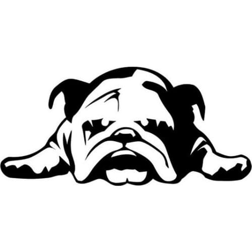 ENGLISH BULLDOG TIRED PUPPY Sticker On Car Funny Vinyl Stickers Decals JDM Motorcycle Car Styling Accessories