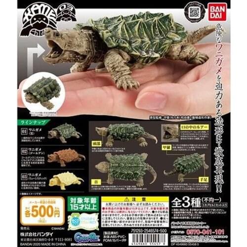 Japan BANDAI Gashapon Capsule Toys Tortoise Tortoise Reptiles Model 1/12 Joint Movable Snapping Turtle