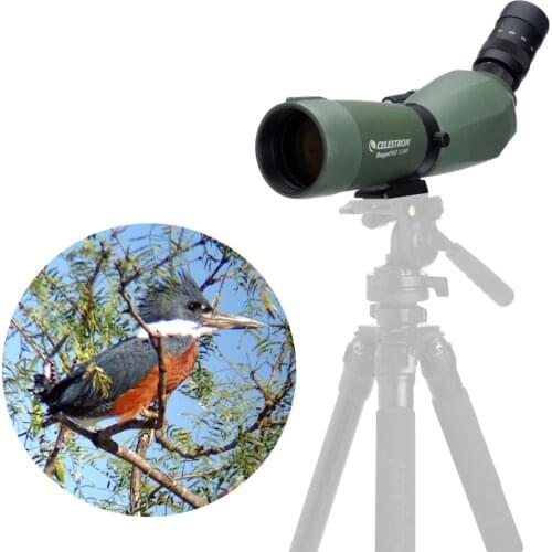 Celestron Regal M2 65 F-ED 45degree 16x-48x Zoom Spotting Scope Telescope Multi-Coated for Bird Watching Hunting Travel