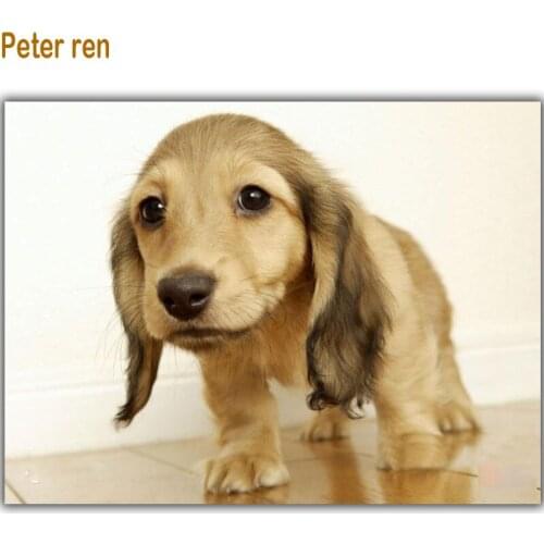 Diy Diamond painting Cross stitch kit Diamond embroidery 3d Square Mosaic full Diamond Drawing home Decor American Cooker