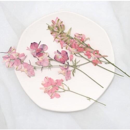 8-15cm/10pcs,Natural Pressed Real touch flower petals with branches,DIY Wedding invitation gift card Scented candle decoration