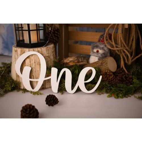 ONE Sign Photo Prop for First Birthday Photo Shoot, Baby Shower Gift Party decoration for babys first birthday