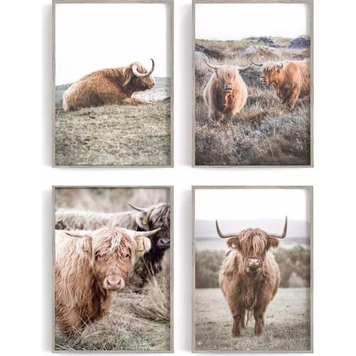 Farm Canvas Painting Wild Animal Highland Cow Poster Prints Wall Art Pictures for Living Room Decor Posters and Prints Home Deco