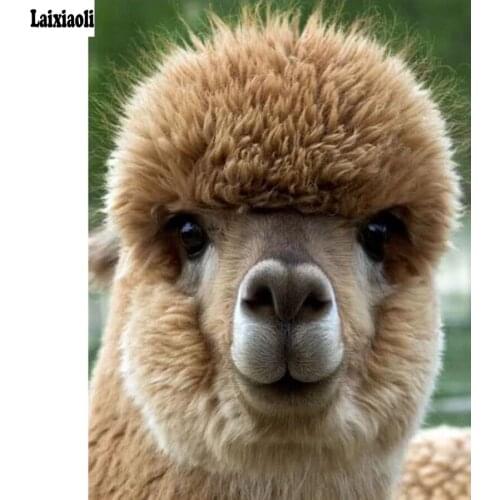 Australia Alpaca Full squre Round,5D,diy,Rhinestones painting diamond painting,5d Cross Stitch Kits ,Diamond Embroidery Handmade