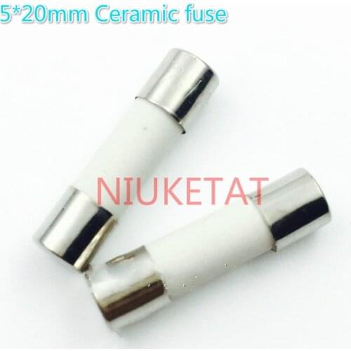 100pcs Ceramic fuse 5*20mm 10A 250V 10000mA 5*20 10A 250V Ceramic fuse New and original High quality fuse