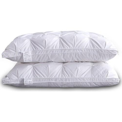 Promotion sales of cotton twisting flower down pillow goose down pillow core brick shop wholesale a hair bedding