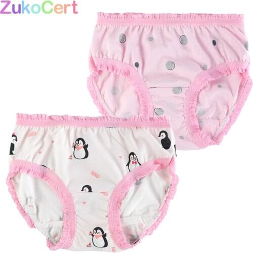2 pcs/lot Girls Panties Cotton Kids Baby Girl Briefs Floral Shorts Underwear For 2-8Y Children Underpants Random Colors