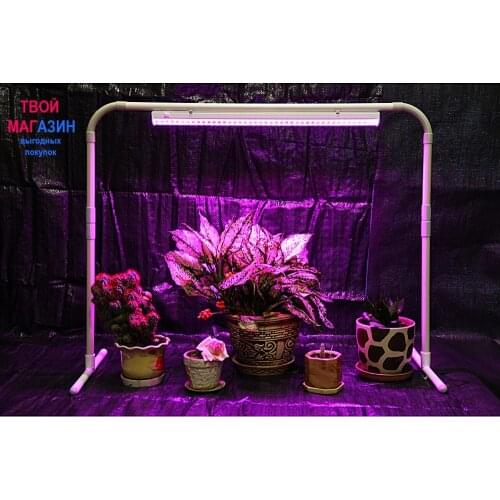 ДАЯС Supports For Plants