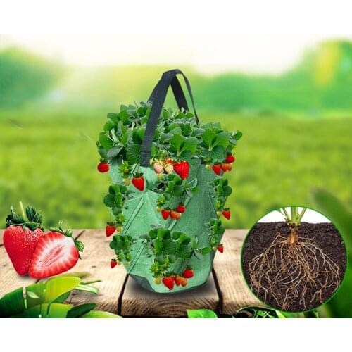 Grow Container Bag DIY Planter PE Fabrics Planting Vegetable Gardening Thicken Pot Planting Grow Bag Garden Tools Fast delivery