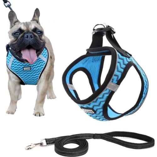 Ошейники, шлейки и поводки TOUGHAGE China At AliExpress