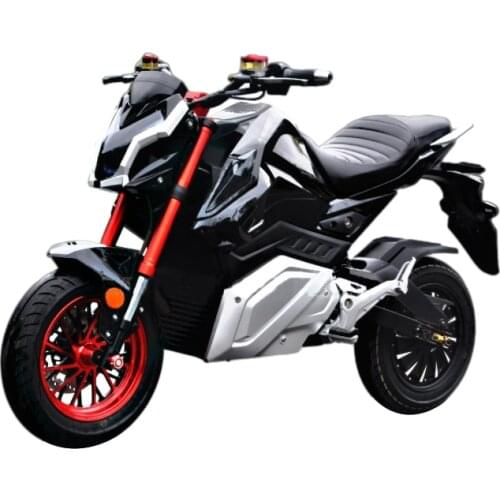 BRAVE BULL Transport And Accessories