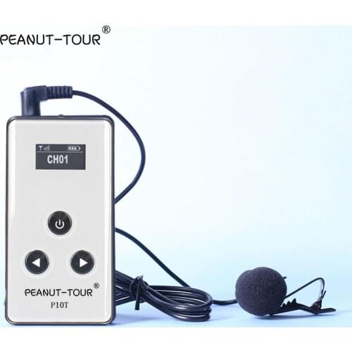 Peanuttour Voice Recognition Modules
